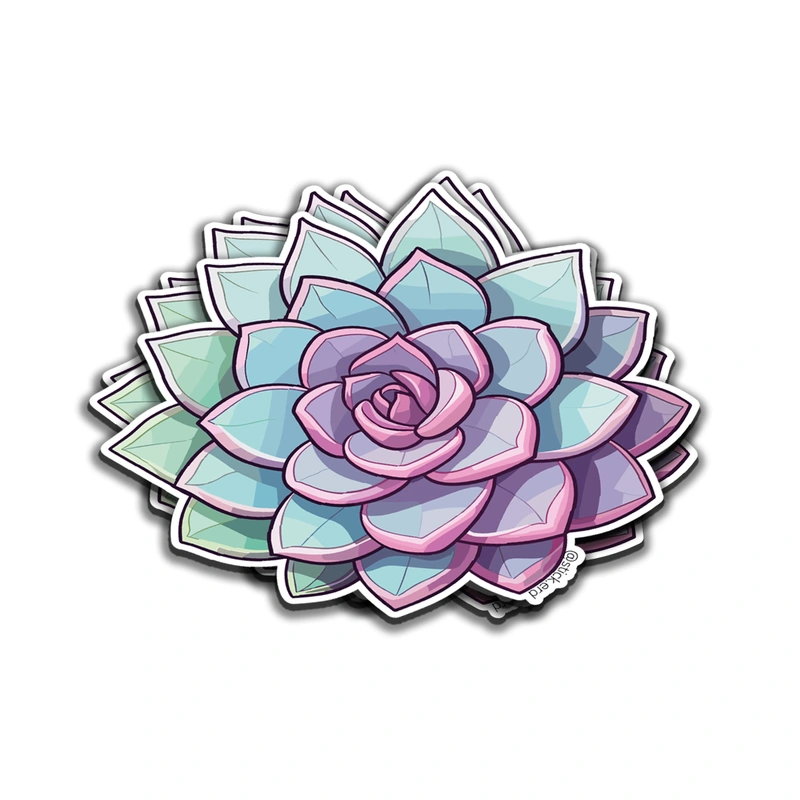 Suculenta de Colores Pastel