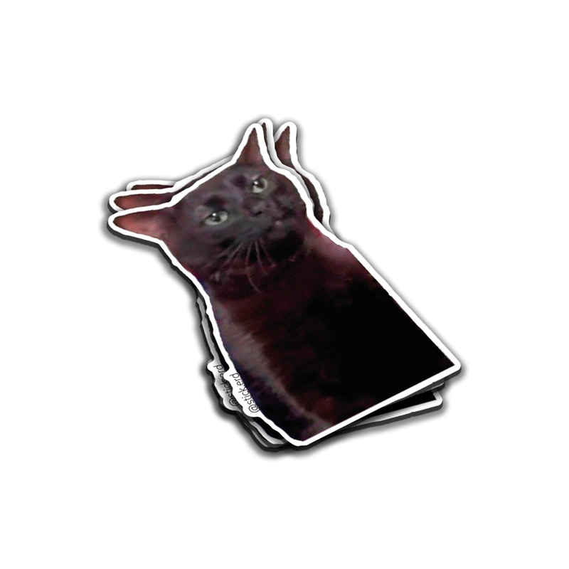Gato Ascendente: Modo Alerta