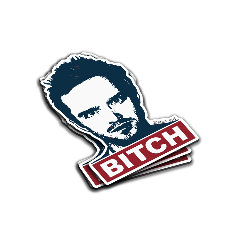 Jesse Pinkman: ¡Bitch!