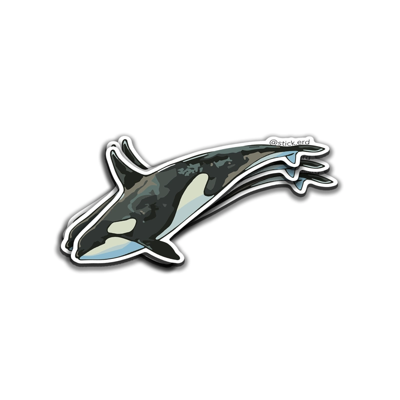 Orca: Majestuosidad Marina