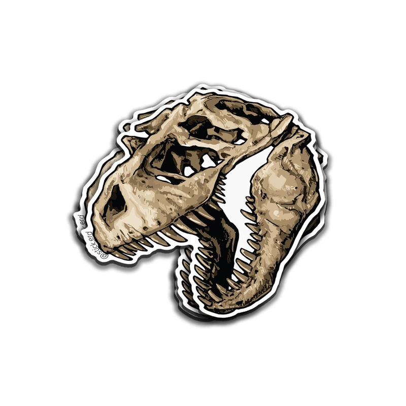 Cráneo de T-Rex: El Rey de los Dinosaurios