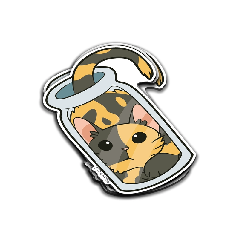 Gatito Calico en Botella