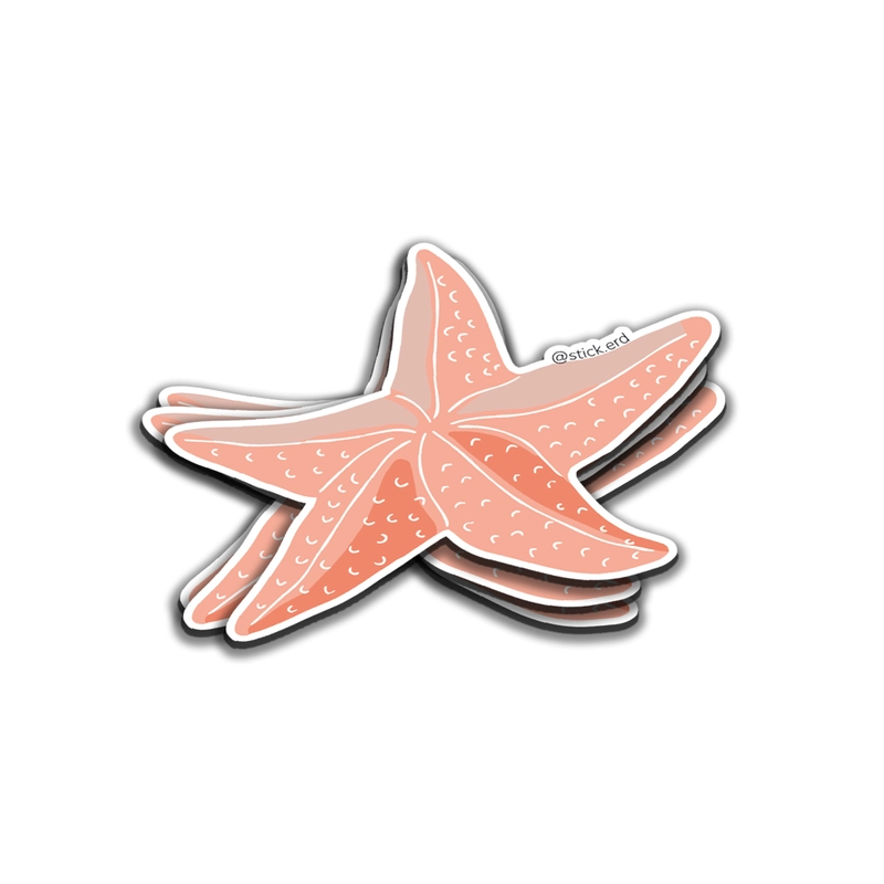 Estrella de Mar Coralina