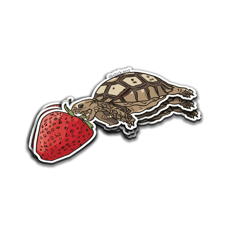 [0GB-1] Tortuga y Fresa Gigante