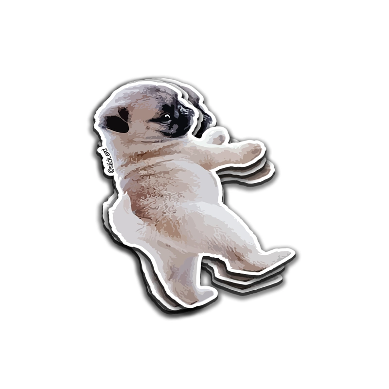 [0GB-12] Cachorro Pug: Dulzura Rodante