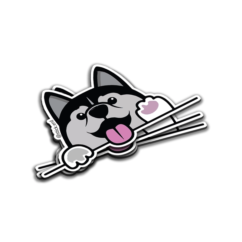 [0GB-8] Husky Curioso: ¡Mira Quién Llegó!