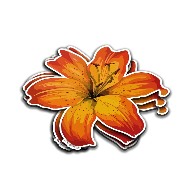 [0K8-3] Lirio Naranja Vibrante