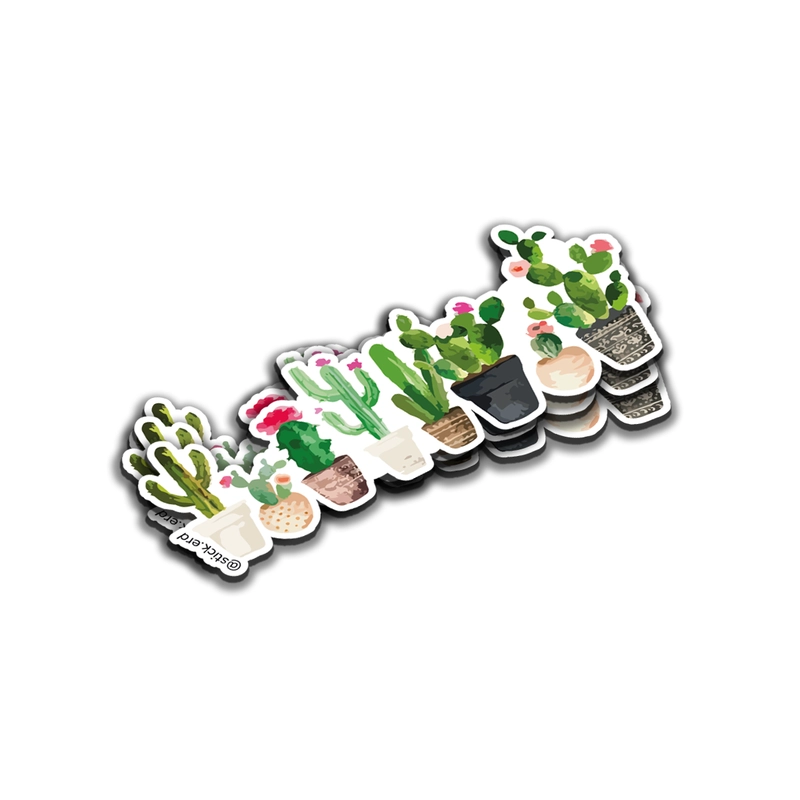 [0XP-11] Cactus en Macetas
