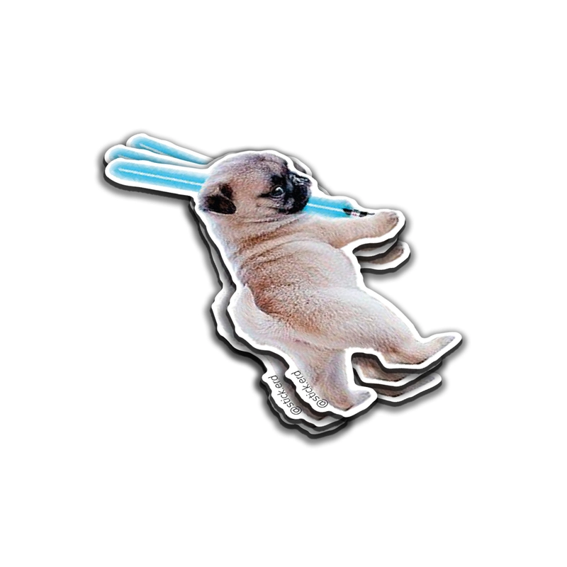 [11Z-11] Pug Jedi: La Fuerza es Tierna