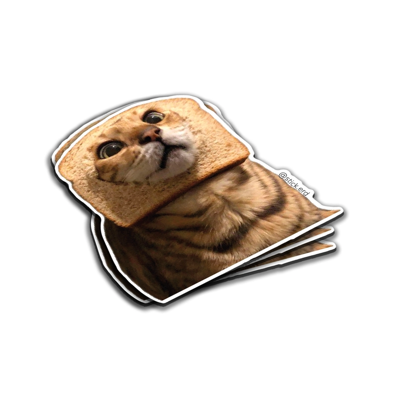 [11Z-4] Gato Rebanada de Pan