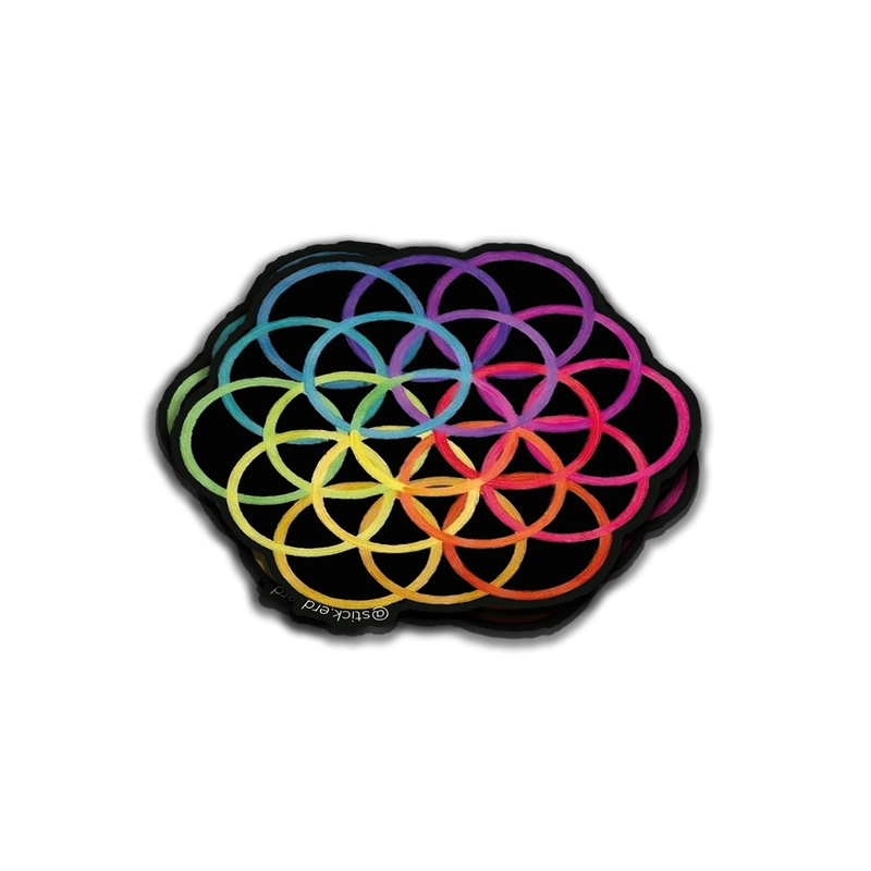 [8BB-7] Coldplay: Flor de la Vida de Colores