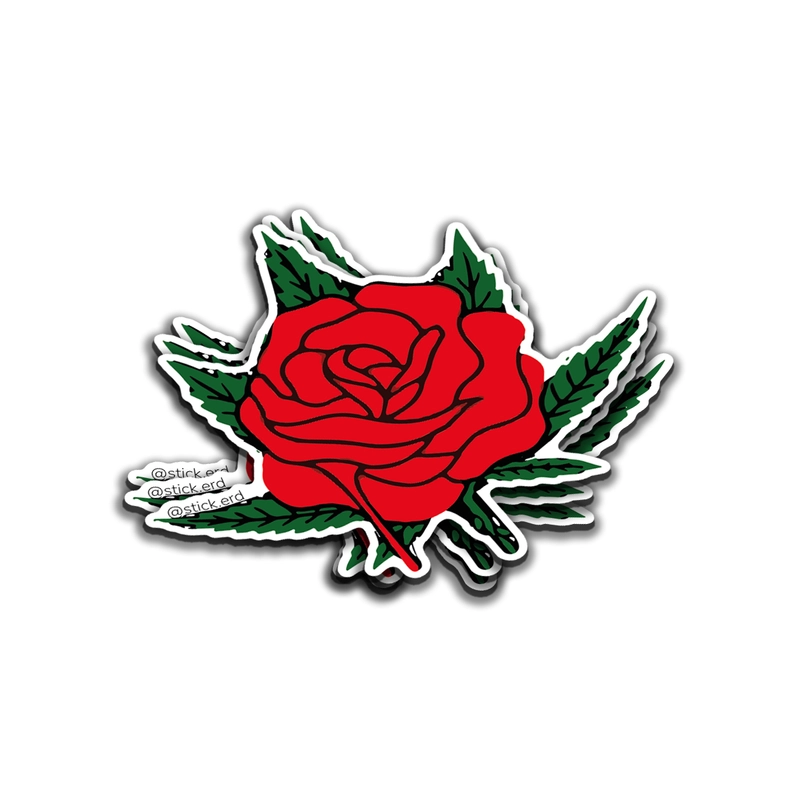 [9V7-6] La Rosa de la Calle