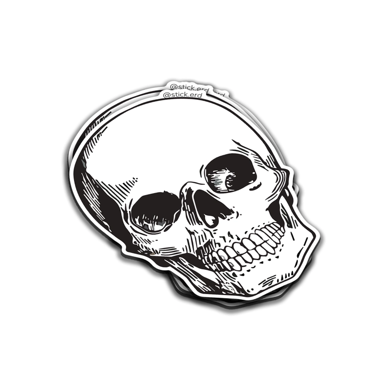 [BB9-10] Calavera Clásica: Eternidad en Trazo