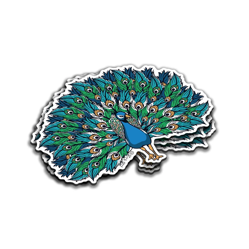 [BGY-2] Pavo Real: Majestuosidad Tropical