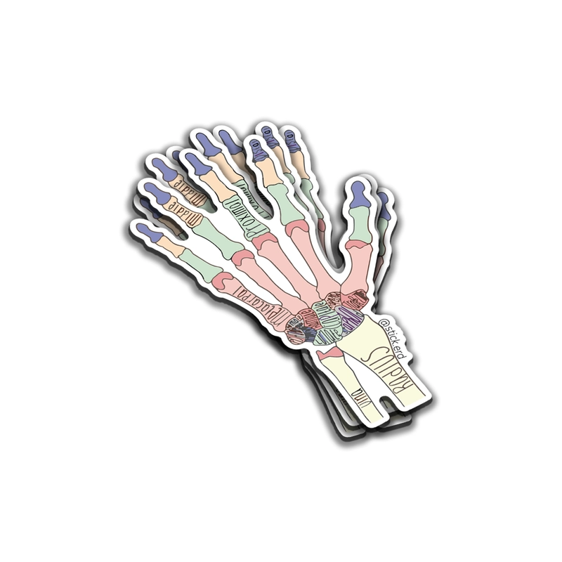 [DBB-6] La Mano Ósea: Estructura Perfecta