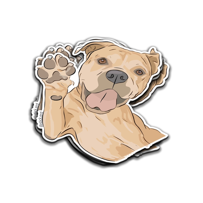 [DXA-12] Pitbull Amigable: ¡Hola, Humano!