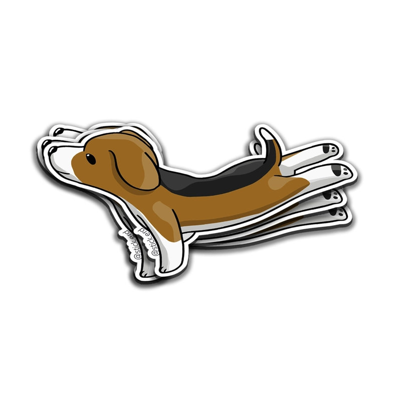 [DXA-4] Beagle Volador: Pura Alegría Canina