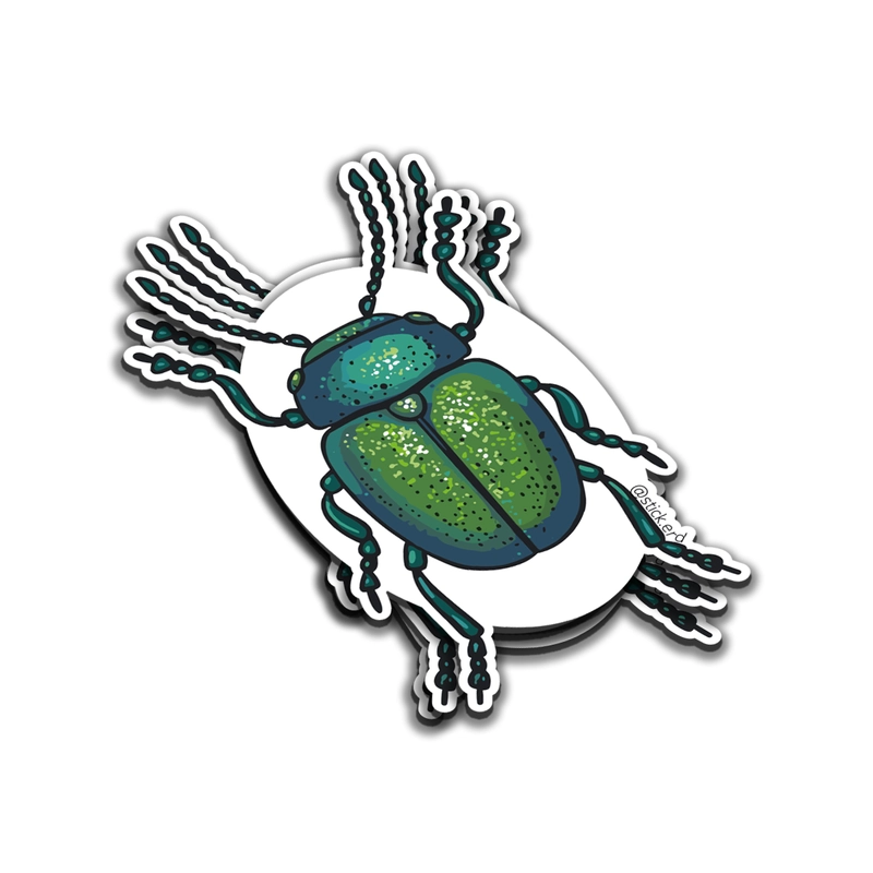 [F9W-2] Escarabajo Brillante