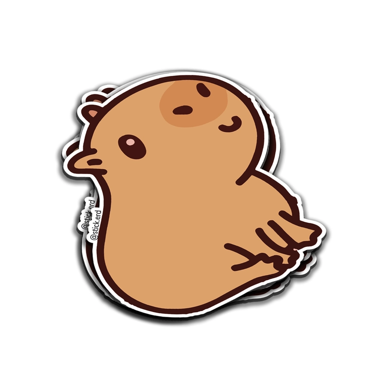 [HN5-1] Capibara Tímida