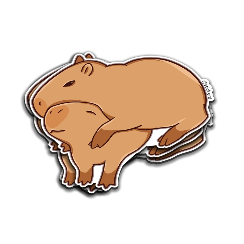 [HN5-4] Capibaras Abrazadas