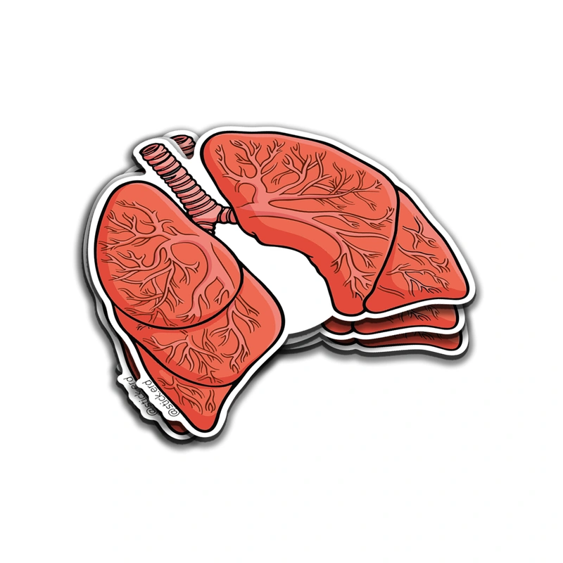 [I1A-11] Pulmones Vibrantes