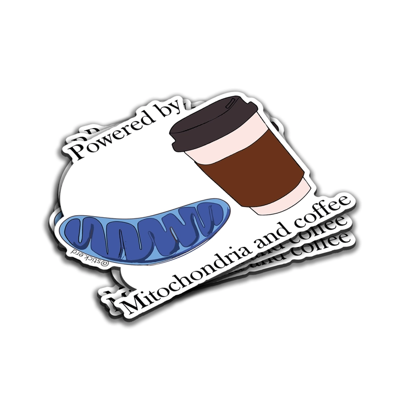 [I1A-9] Mitocondria y Café Power