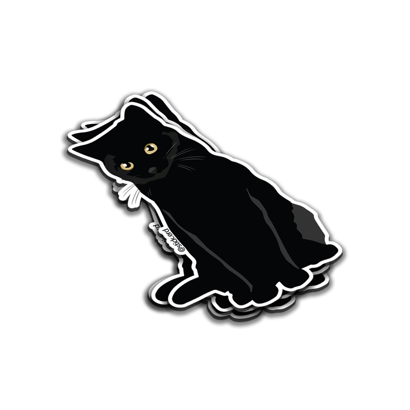 [KDU-3] Gato Negro: Mirada Penetrante