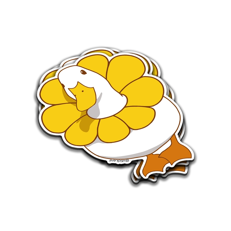 [KDU-7] Pato Margarita: Flor de Charco