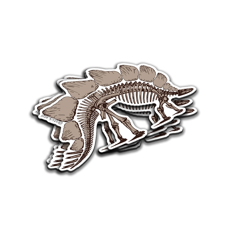 [MEC-1] Esqueleto de Estegosaurio
