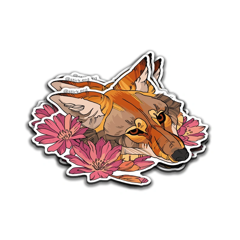 [MEC-9] Coyote Florecido del Desierto