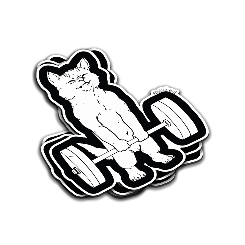 [NBI-3] Gato Levantador
