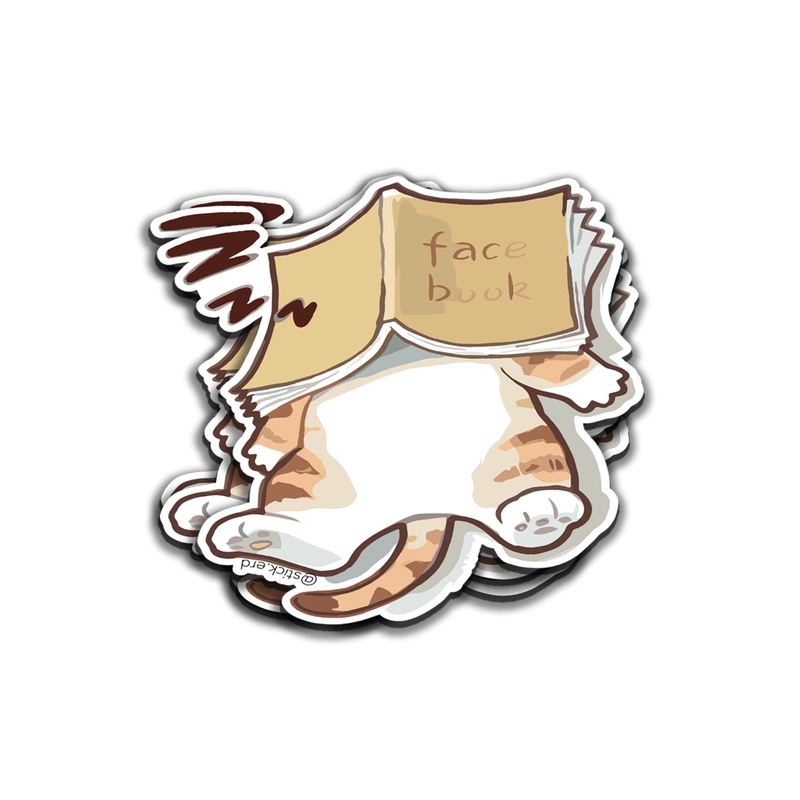 [PYK-7] Gatito Escondido en Facebook