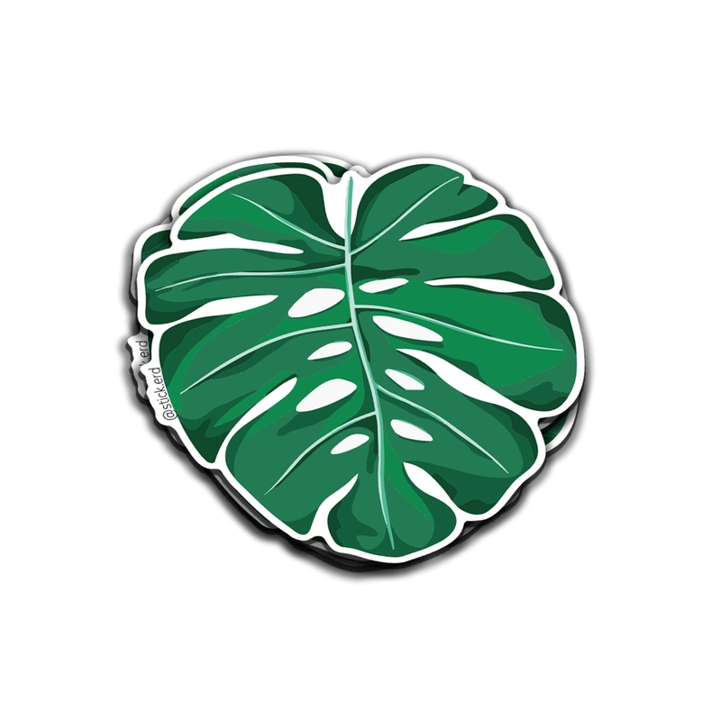 [RCN-5] Hoja de Monstera Tropical