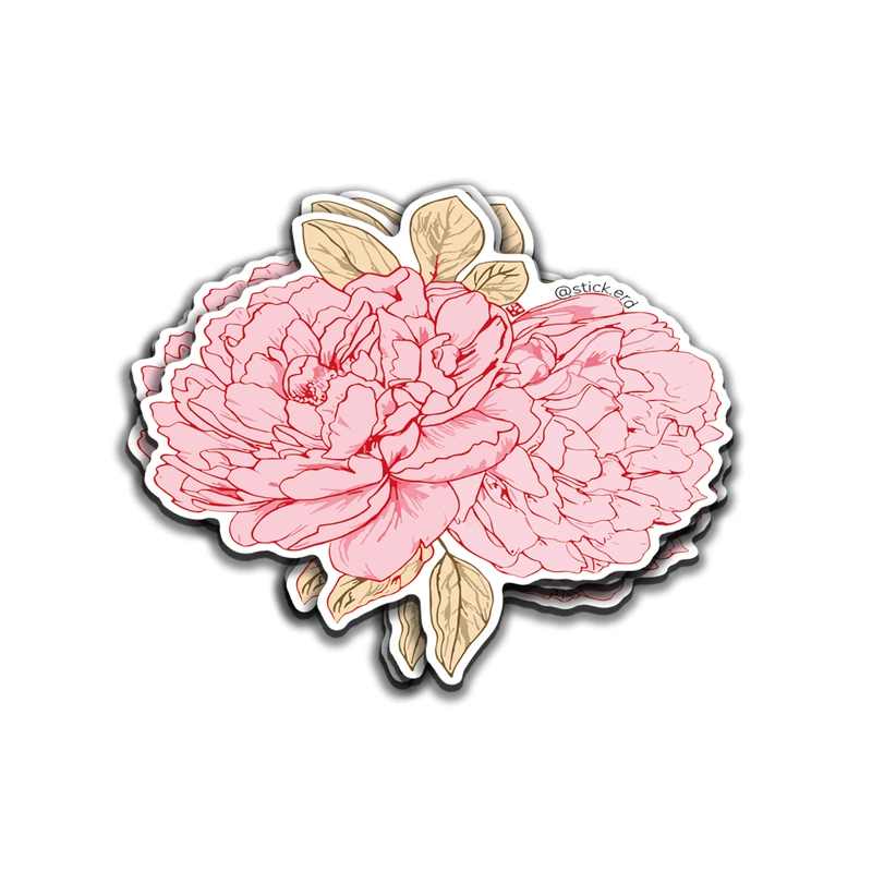 [RCN-6] Peonías Rosadas Floreciendo