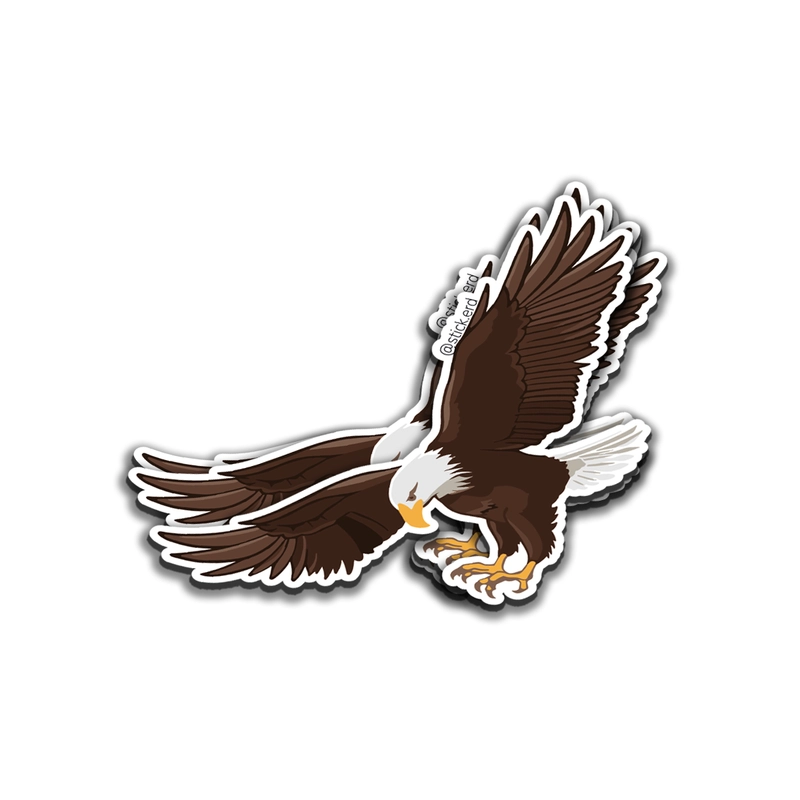 [SP1-1] Águila en Pleno Vuelo