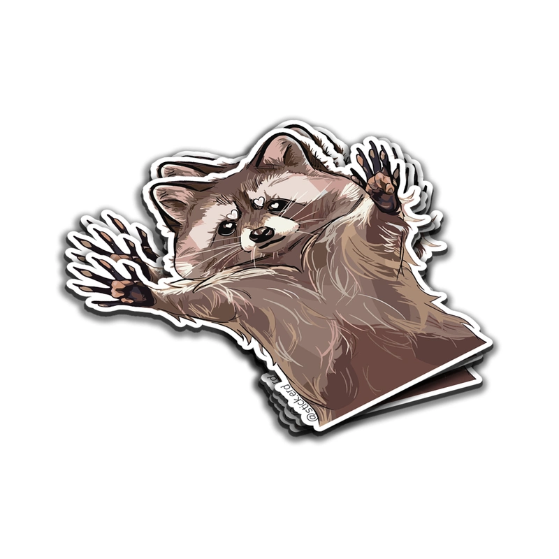 [SP1-11] Mapache Travieso