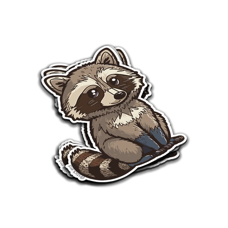 [SP1-12] Mapache Tierno