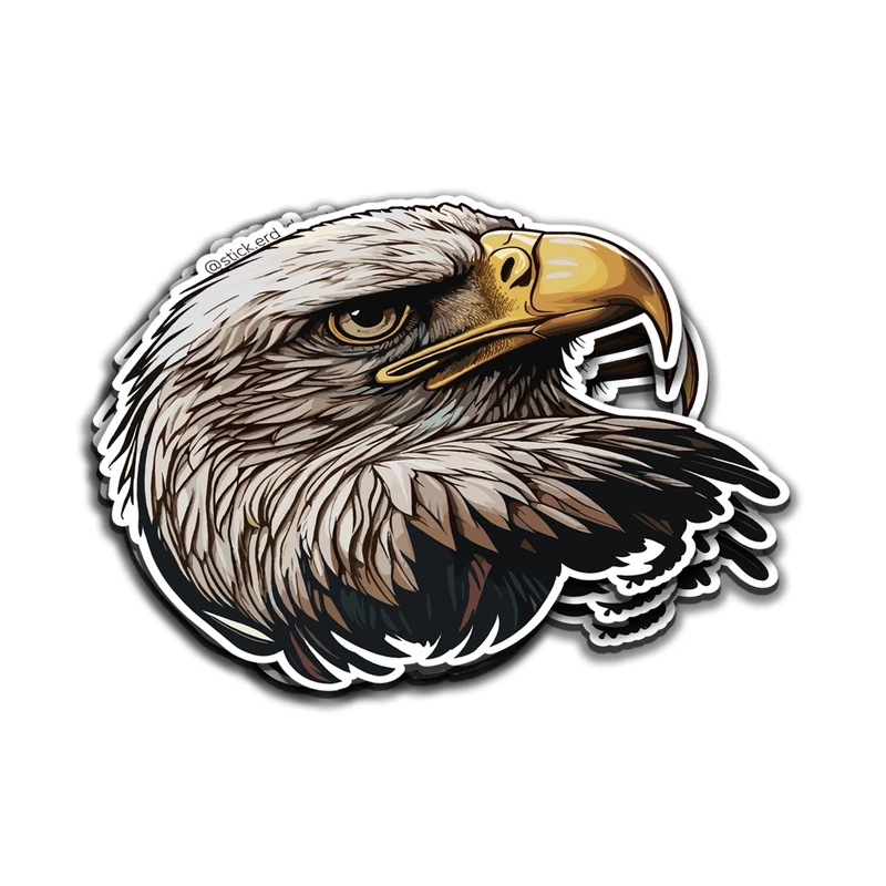 [SP1-6] Primer Plano de Águila