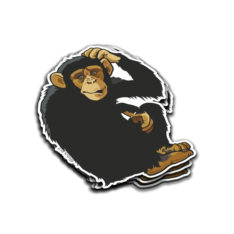 [SP1-9] Chimpancé Pensativo
