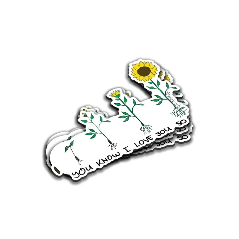 [VMI-8] Semilla de Girasol: Evolución del Amor