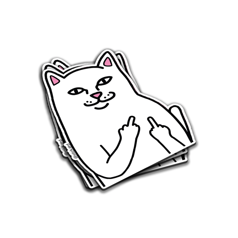 [WT9-5] Gato Malcriado