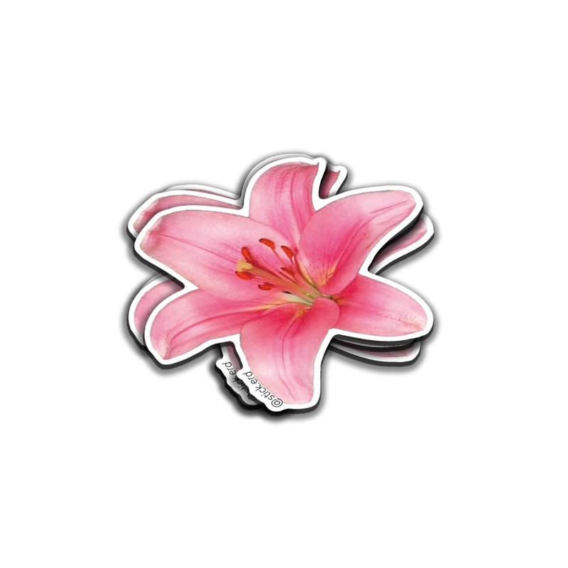 [YIA-10] Lirio Rosa Vibrante