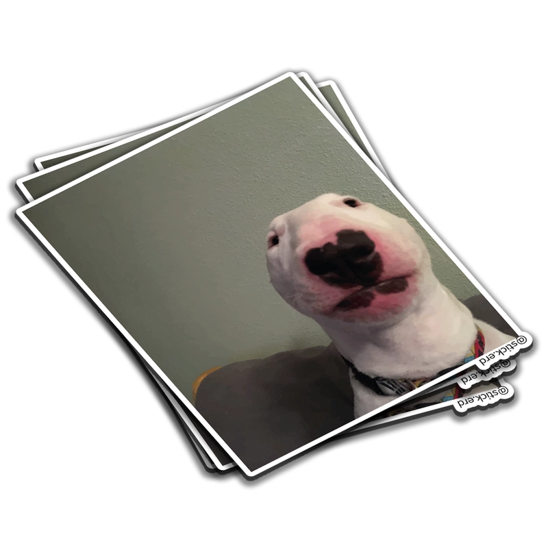 [ZIW-1] Walter el Meme