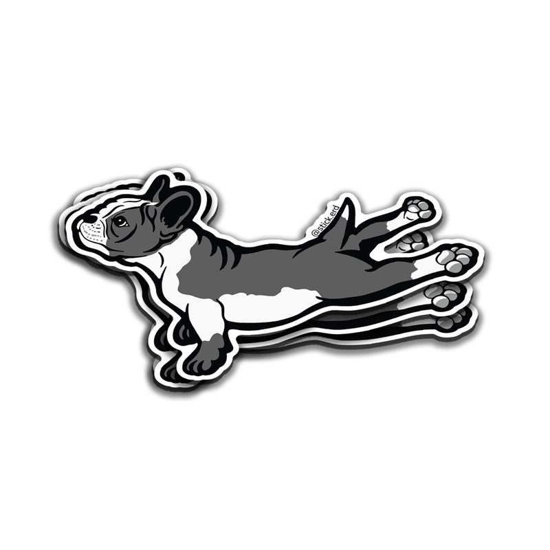 [ZIW-11] Frenchie Espacial