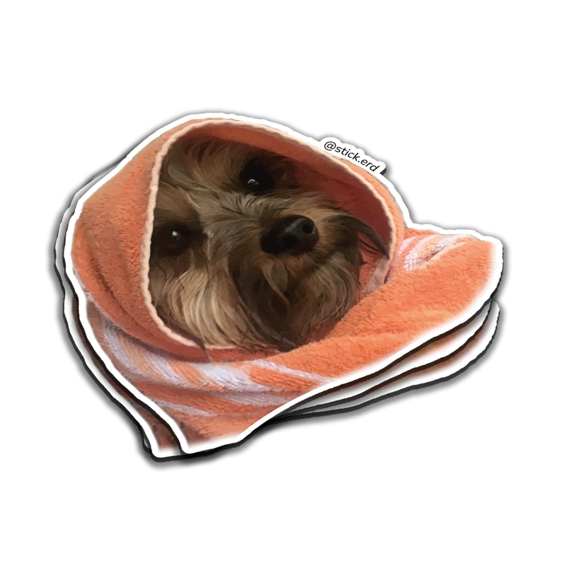[ZIW-2] Perro Envuelta en Toalla