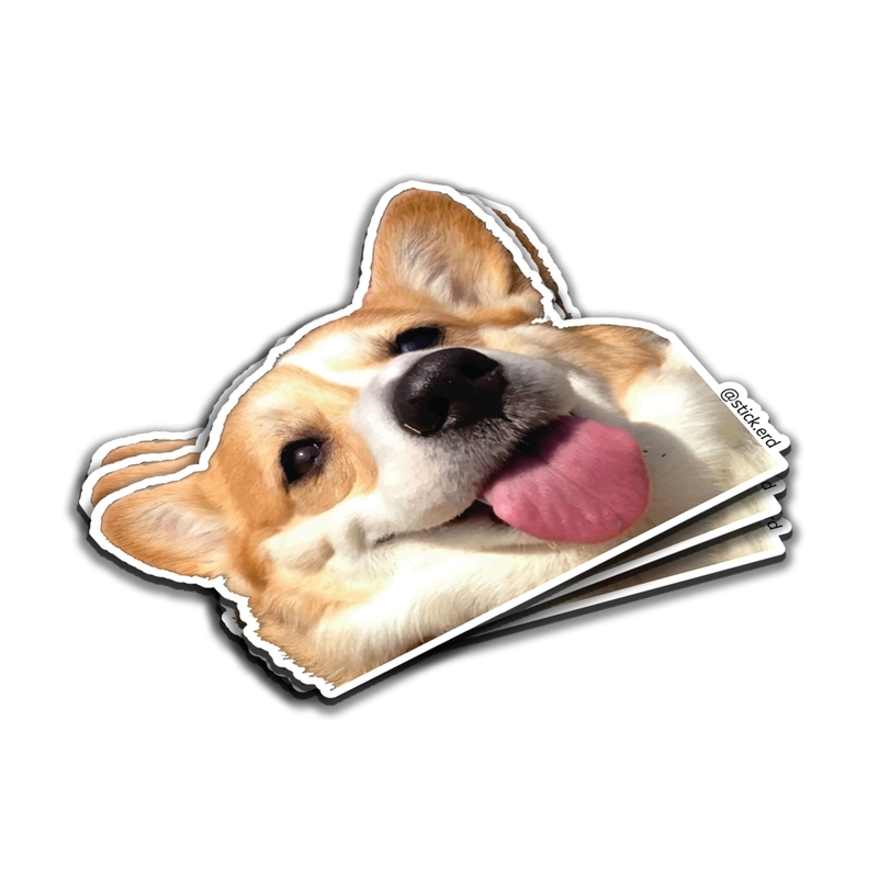 [ZIW-3] Corgi Sonriente